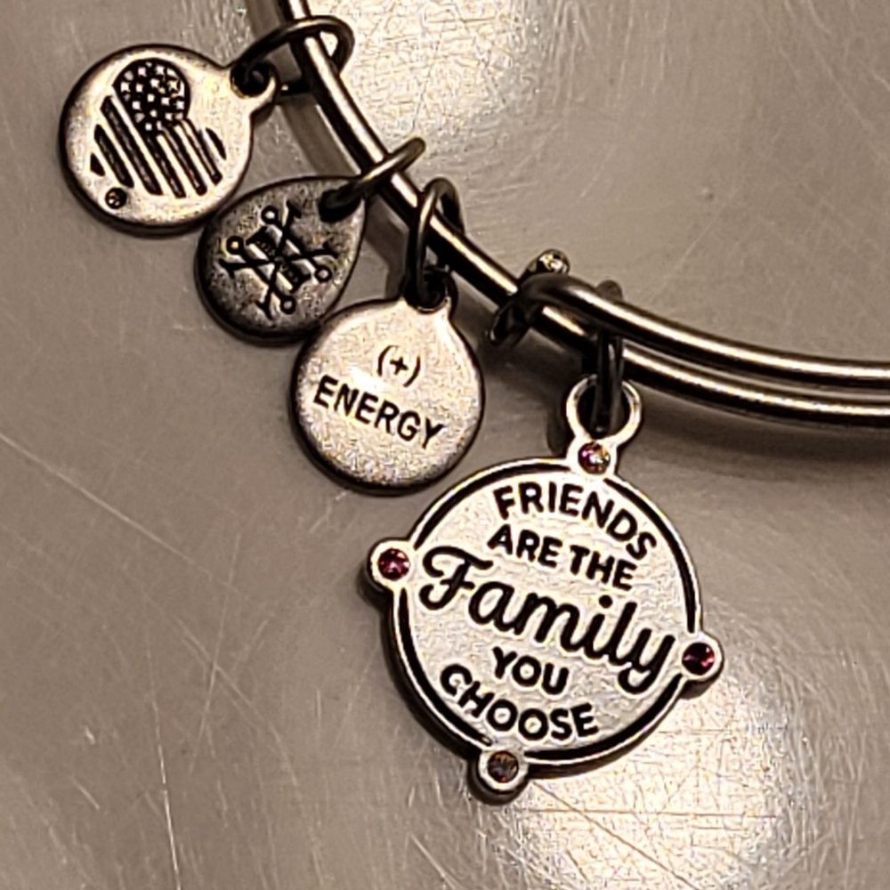 Alex & Ani Friends Are The Family You Choose Charm Bangle Bracelet Silver-tone - Picture 3 of 16